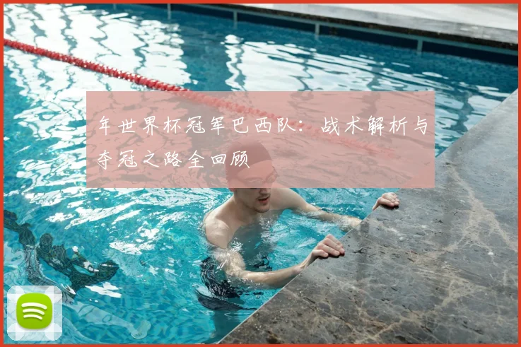 年世界杯冠军巴西队：战术解析与夺冠之路全回顾