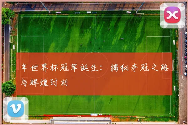 年世界杯冠军诞生：揭秘夺冠之路与辉煌时刻