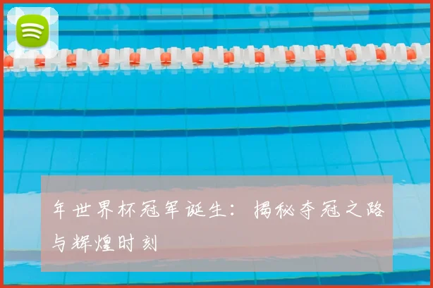 年世界杯冠军诞生：揭秘夺冠之路与辉煌时刻
