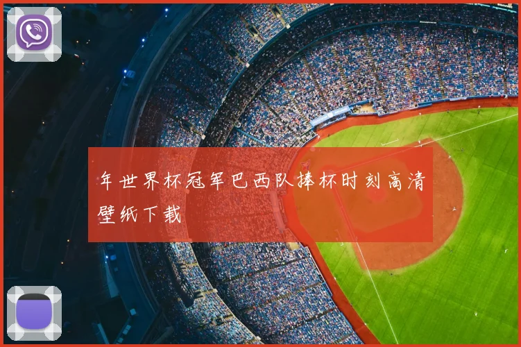 年世界杯冠军巴西队捧杯时刻高清壁纸下载