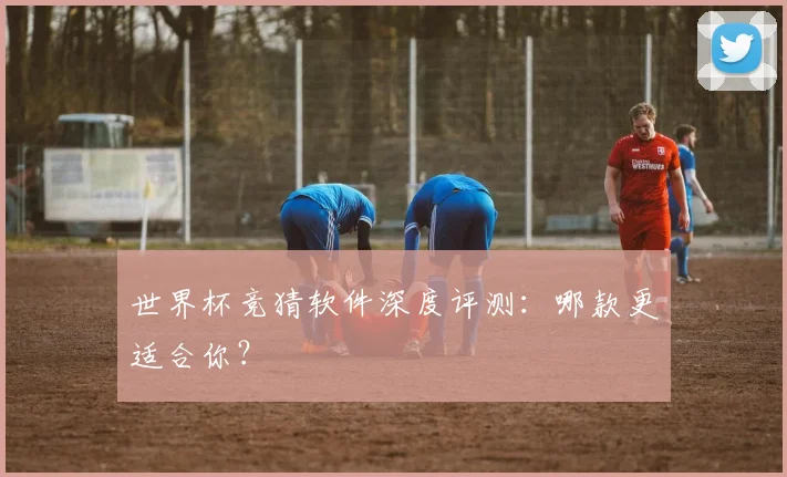 世界杯竞猜软件深度评测：哪款更适合你？